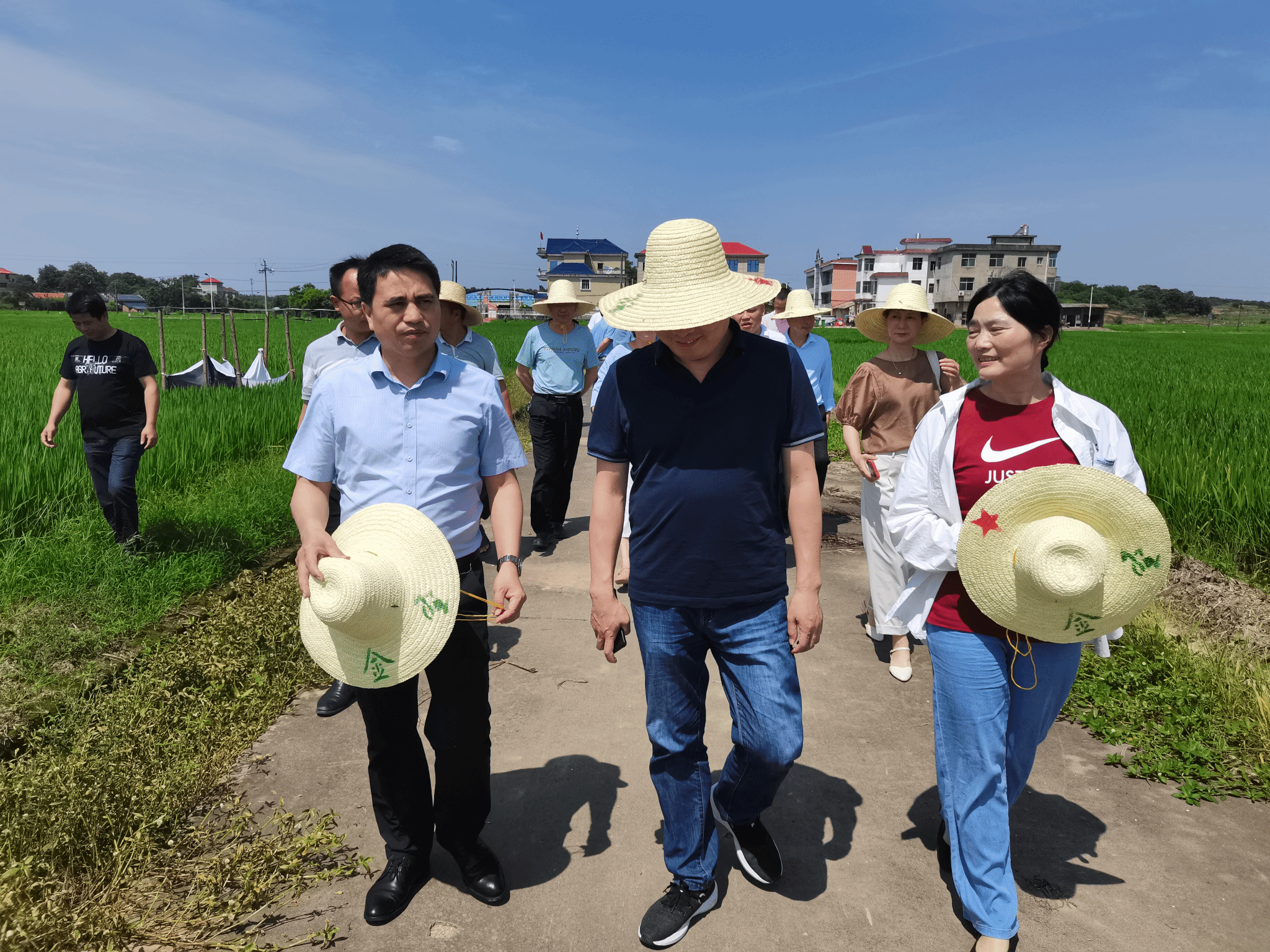 江西省“乡村振兴优秀驻村干部”获得者何金莲：金翅擘海 莲开并蒂