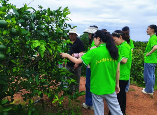实践队在富硒西柚种植基地向技术员了解果树种植情况 邱俐供图.png